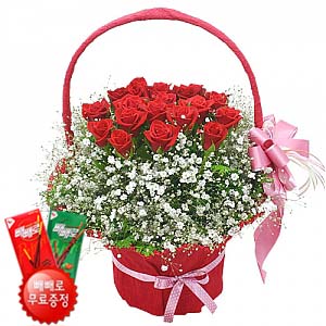 �󼼳��뺸��